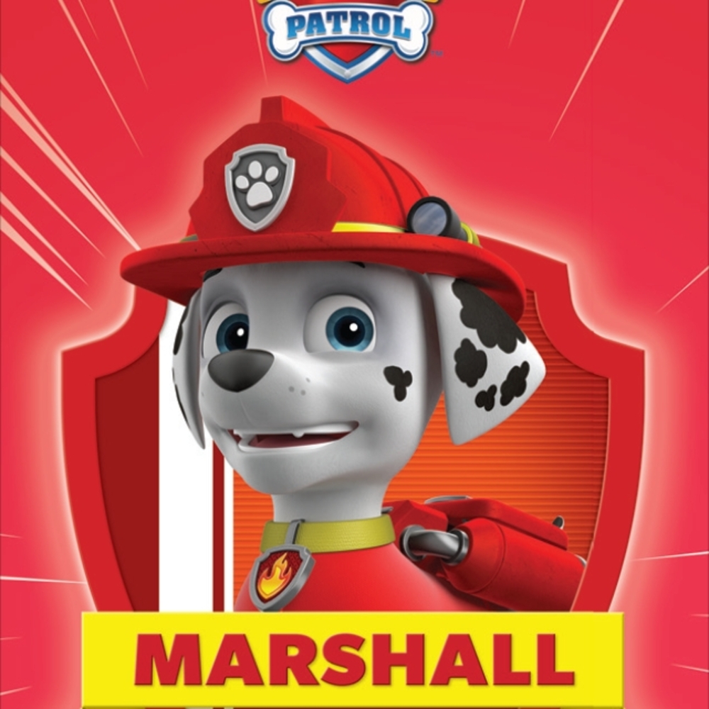 Yoto Player: Paw Patrol Pup Pack Audio Cards' - Picture 8 of 11